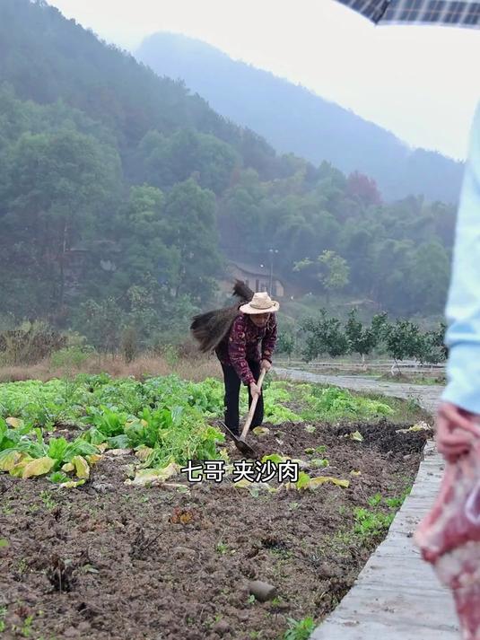 姨妹要吃夹沙肉,今天就把传统名菜夹沙肉的详细做法分享给大家