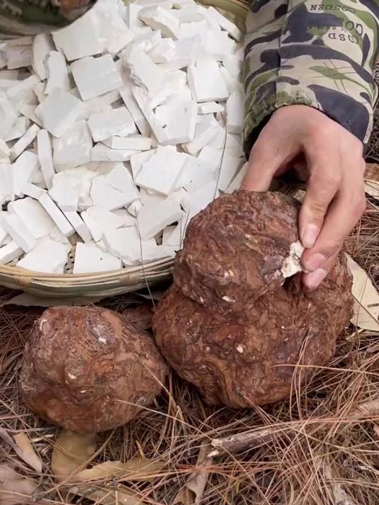 天然茯苓无硫熏,炖品甜品百搭健康好食材