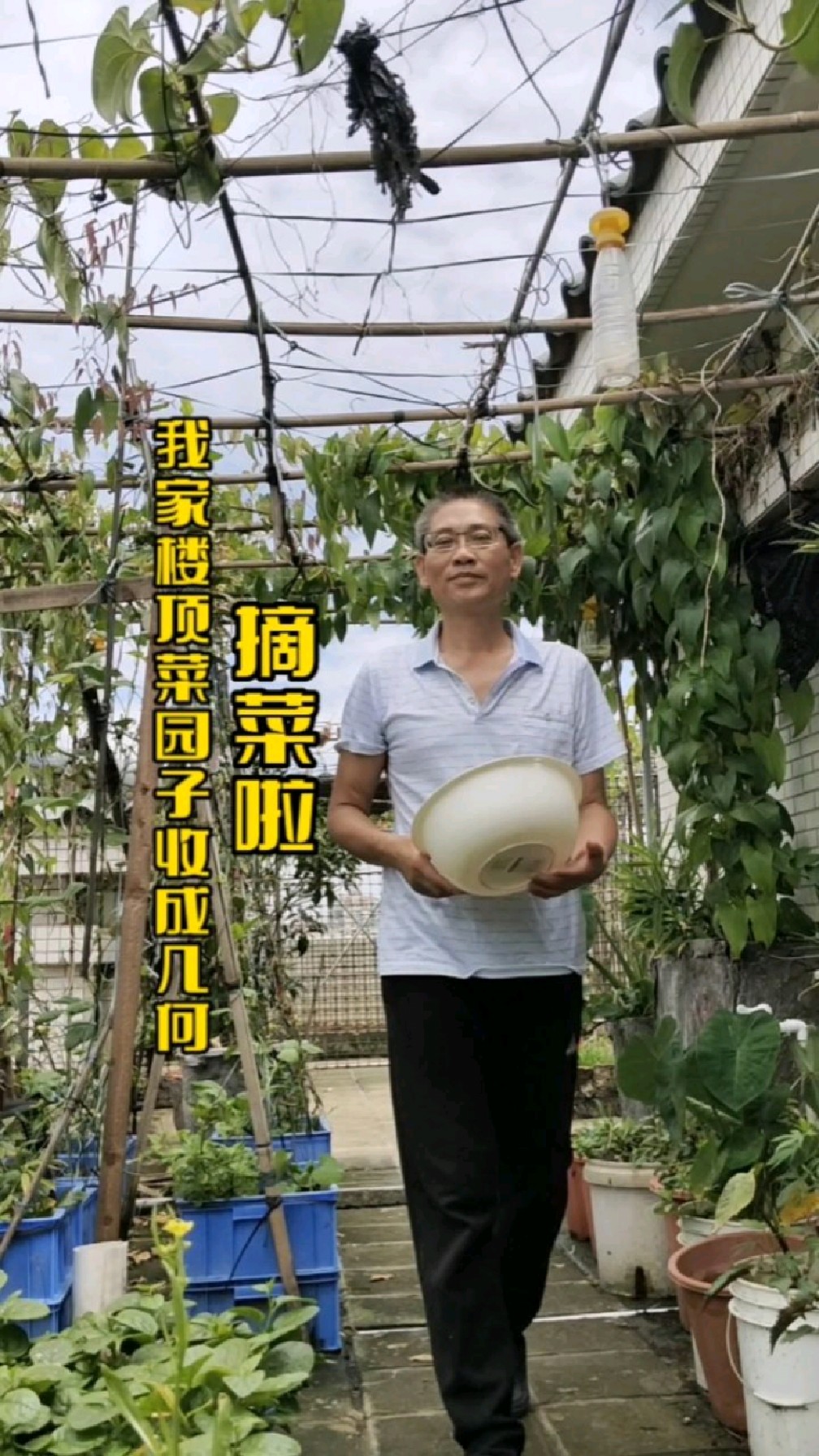 这是什么菜?除了上汤,炒鸡蛋和炒云耳,还有啥吃法?告诉我,我要变着花样给老婆做吃