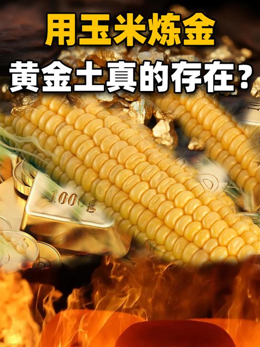 河南某农村有一种土,放玉米棒子就能炼出黄金?专家:这是真的!