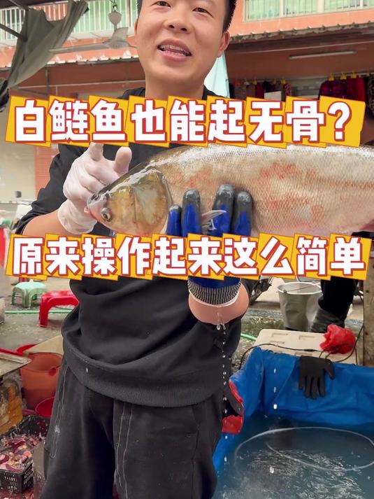 白鲢鱼也能起无骨？原来操作起来这么简单#鱼##刀工##杀鱼#