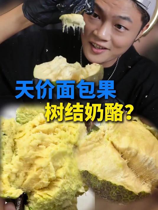 面包树上面包果，面包树下猴和我！