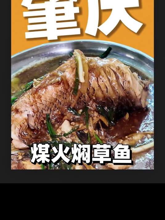 肇庆国道边上的煤火焖草鱼20/斤，味道绝了