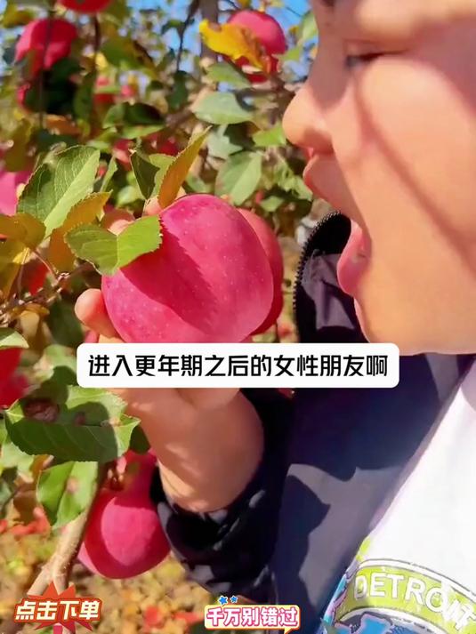 古法倒蒸工艺#苹果干#不加糖不蜜饯软糯有嚼劲好吃的不得了