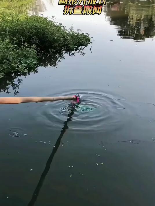 实测！圆形折叠鱼网抗造又能装，钓完鱼收起来塞包里毫无压力