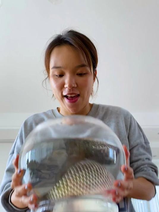 狗子偷吃了鱼嫁祸给猫咪,不料最终是主人扛下了所有～