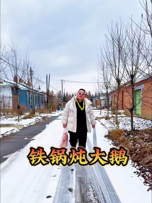 偶尔遇到一场雪，一定要炖着大鹅