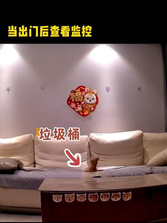 我家猫为了喝奶茶被关进垃圾桶一晚上了