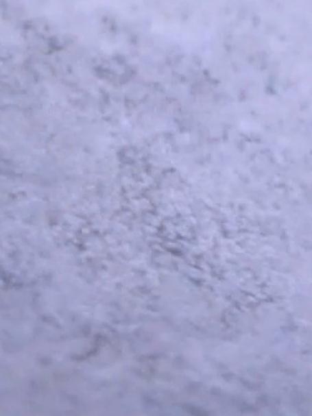 大型南美白对虾养殖基地投放