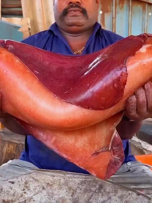 印度人都是如何处理深海大鱿鱼的，真是让人大开眼界啊