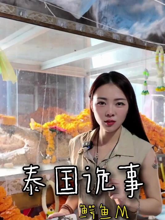 泰国诡事之泰国鳄鱼喵