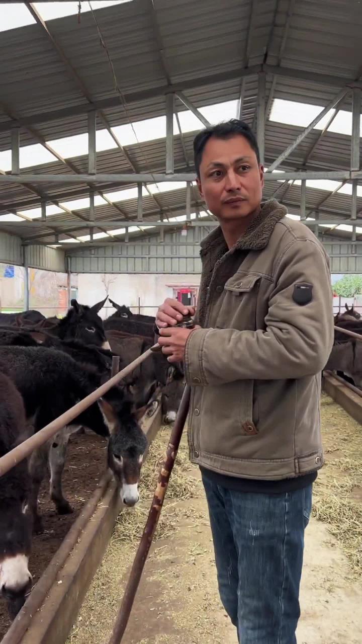 纯干无注水,只做真驴肉
