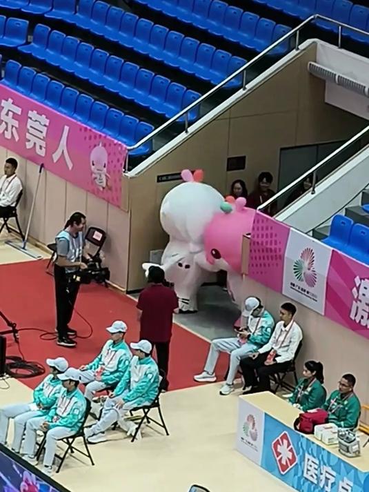 最近刷屏的全运会吉祥物，有人叫它“大湾鸡”，有人叫它“大癫鸡”，“东道主”广东人会说这是它