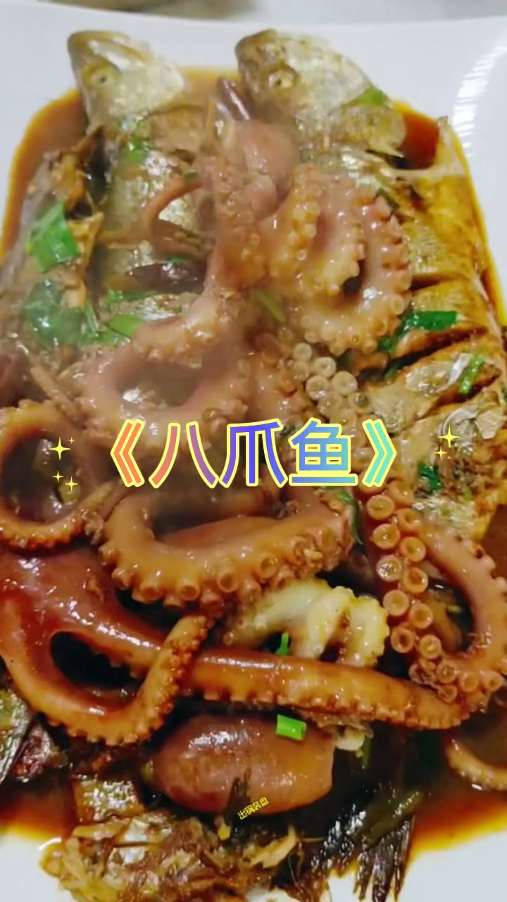 海鱼炖八爪鱼#城市寻味记#