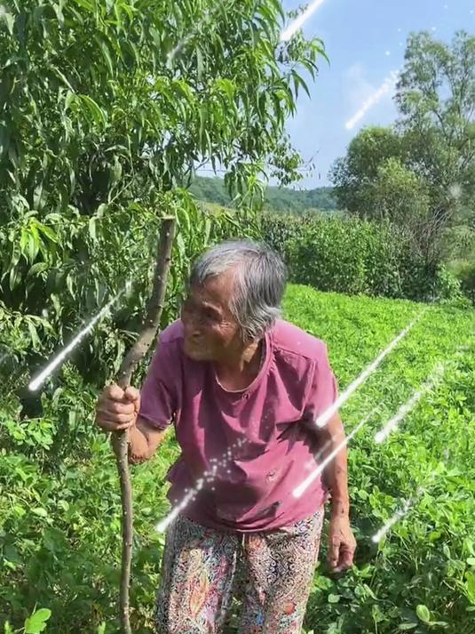 农村生活 农村美食 农村羹汤