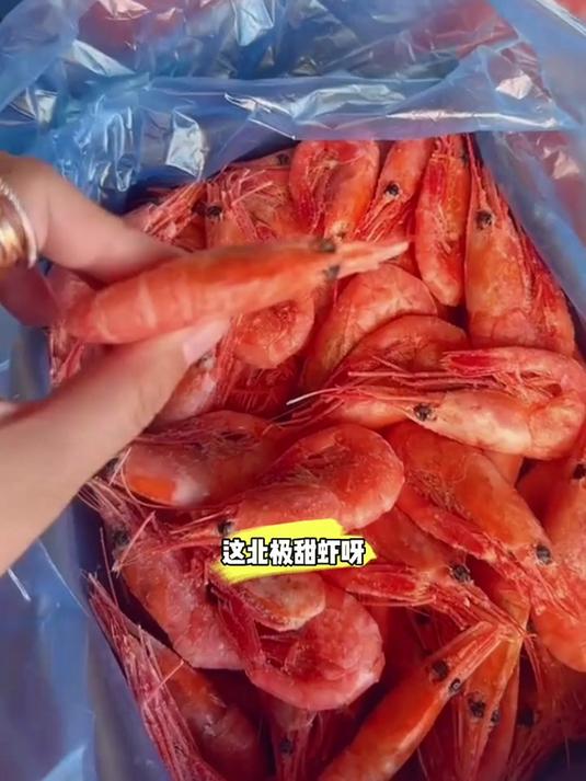 新鲜北极甜虾,餐桌上的好伙伴哟