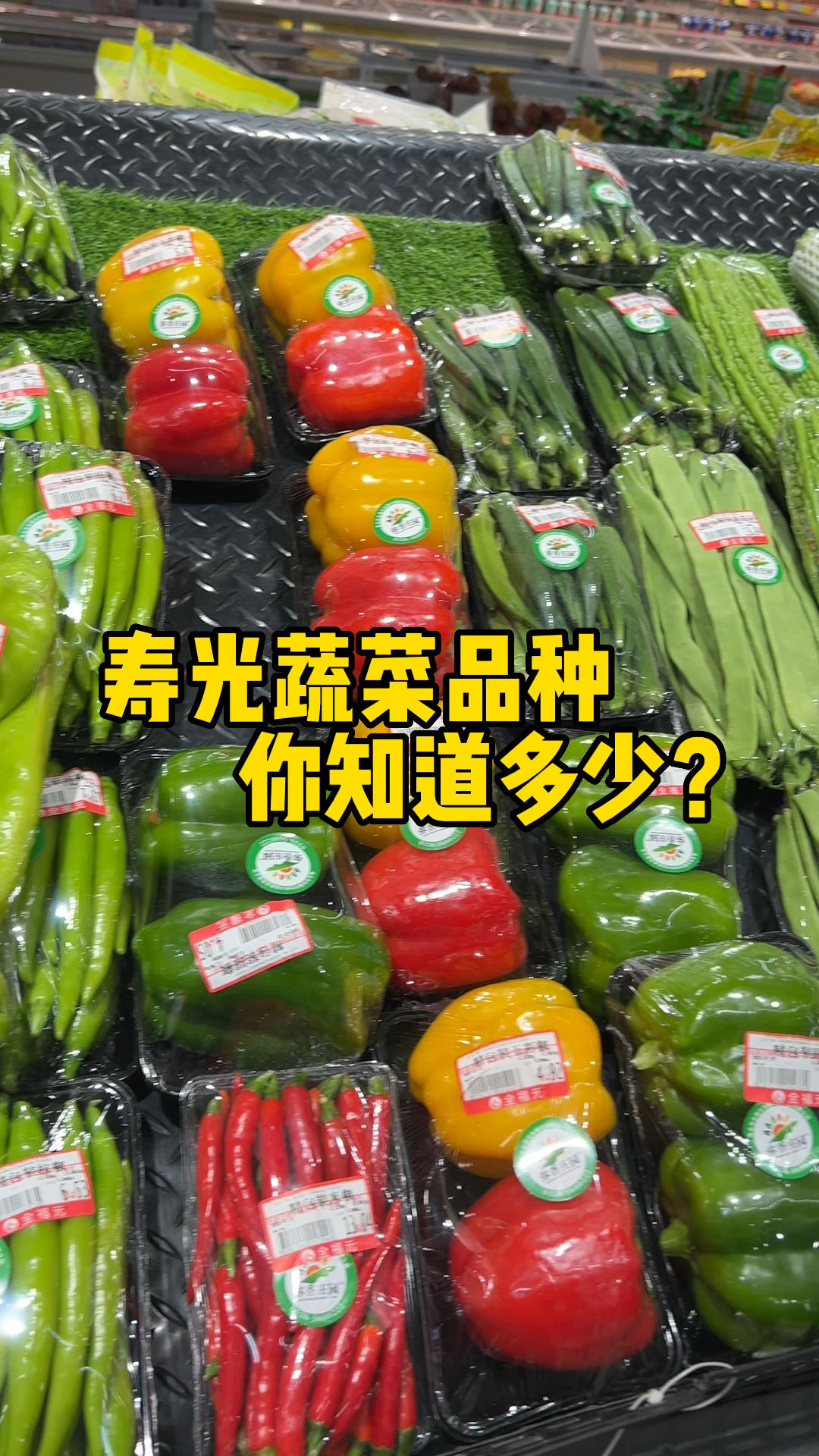 寿光蔬菜品种你知道多少?