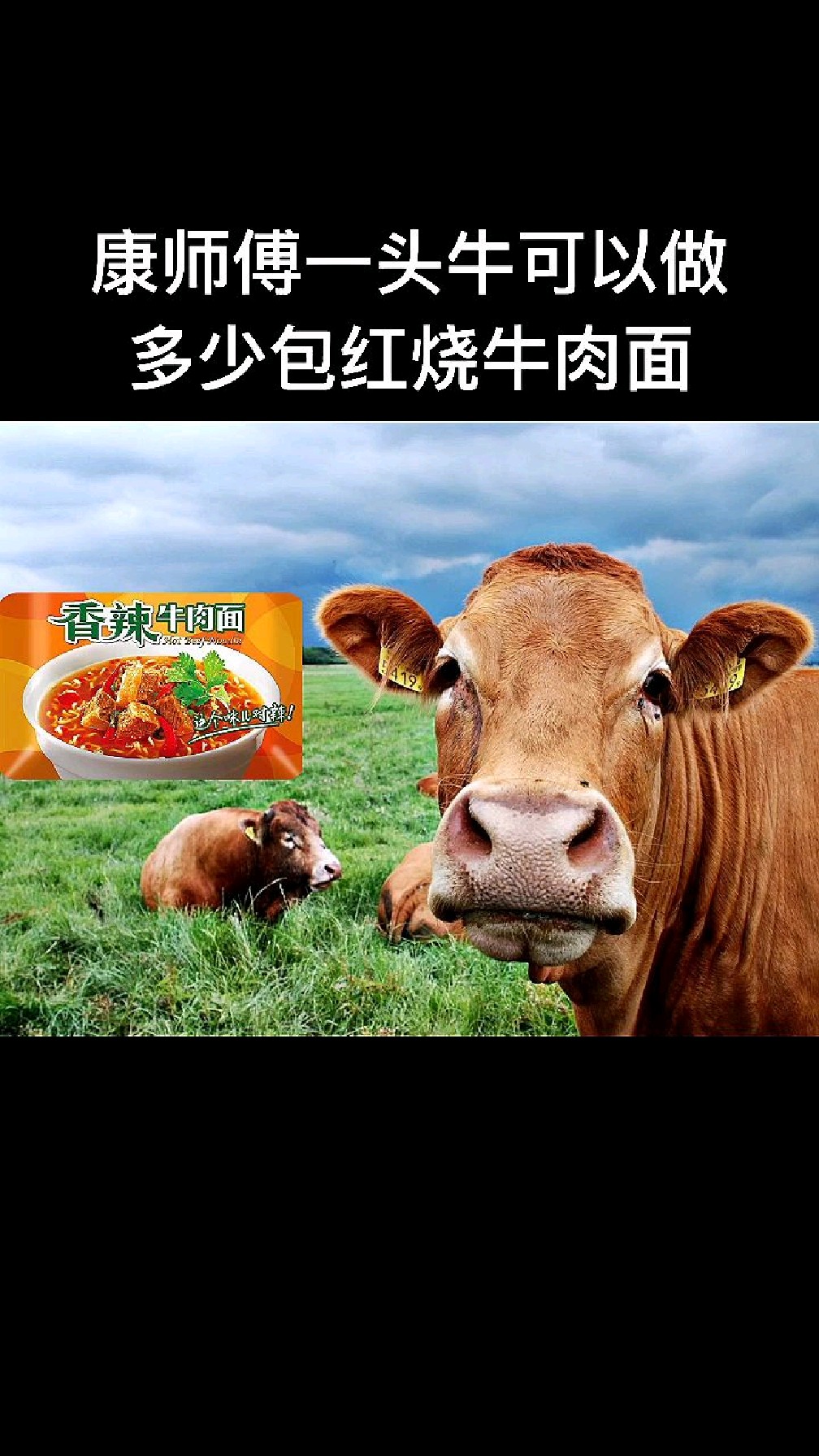 康师傅一头牛可以做多少包红烧牛肉面