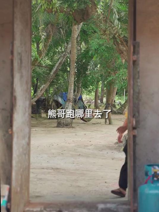 今天去摘百香果做水果捞,阿业还买了一条青衣鱼回来搞刺身