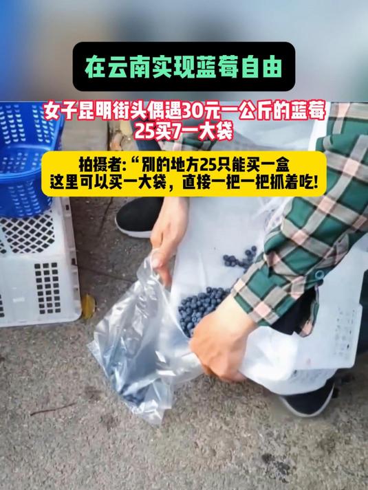 在云南实现蓝莓自由