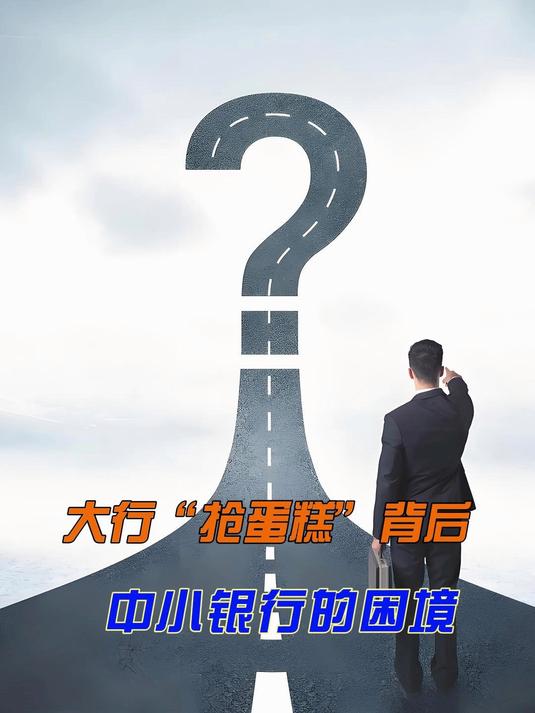 大行“抢蛋糕”背后中小银行的困境