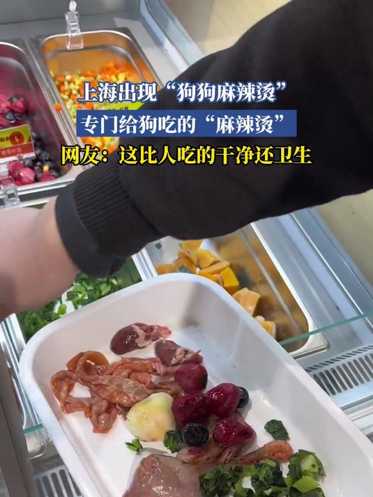 上海出现“狗狗麻辣烫”,专门给狗吃的“麻辣烫”