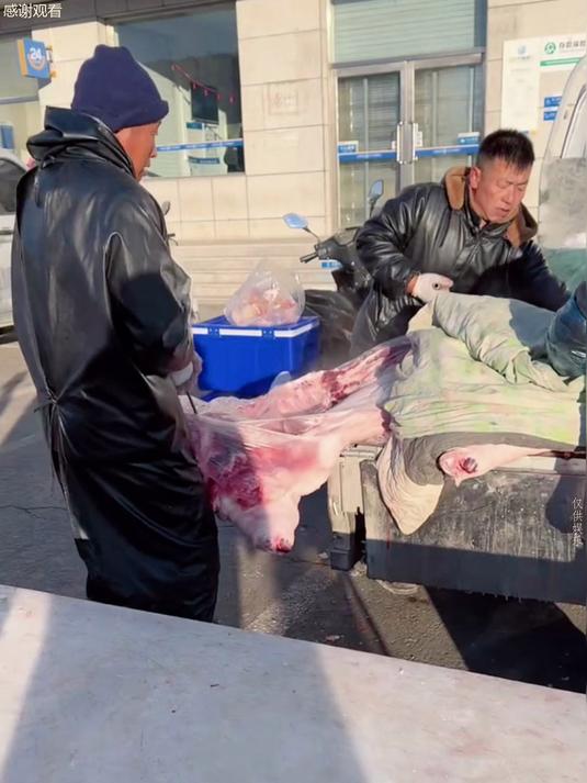 海哥卖大肥肉