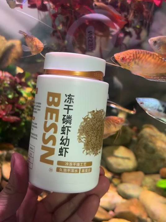 别再单一喂鱼饲料啦!试试冻干磷虾幼虾,通用又营养!