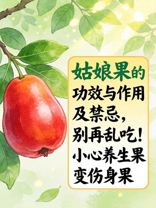 姑娘果的功效与作用及禁忌,别再乱吃!小心养生果变伤身果