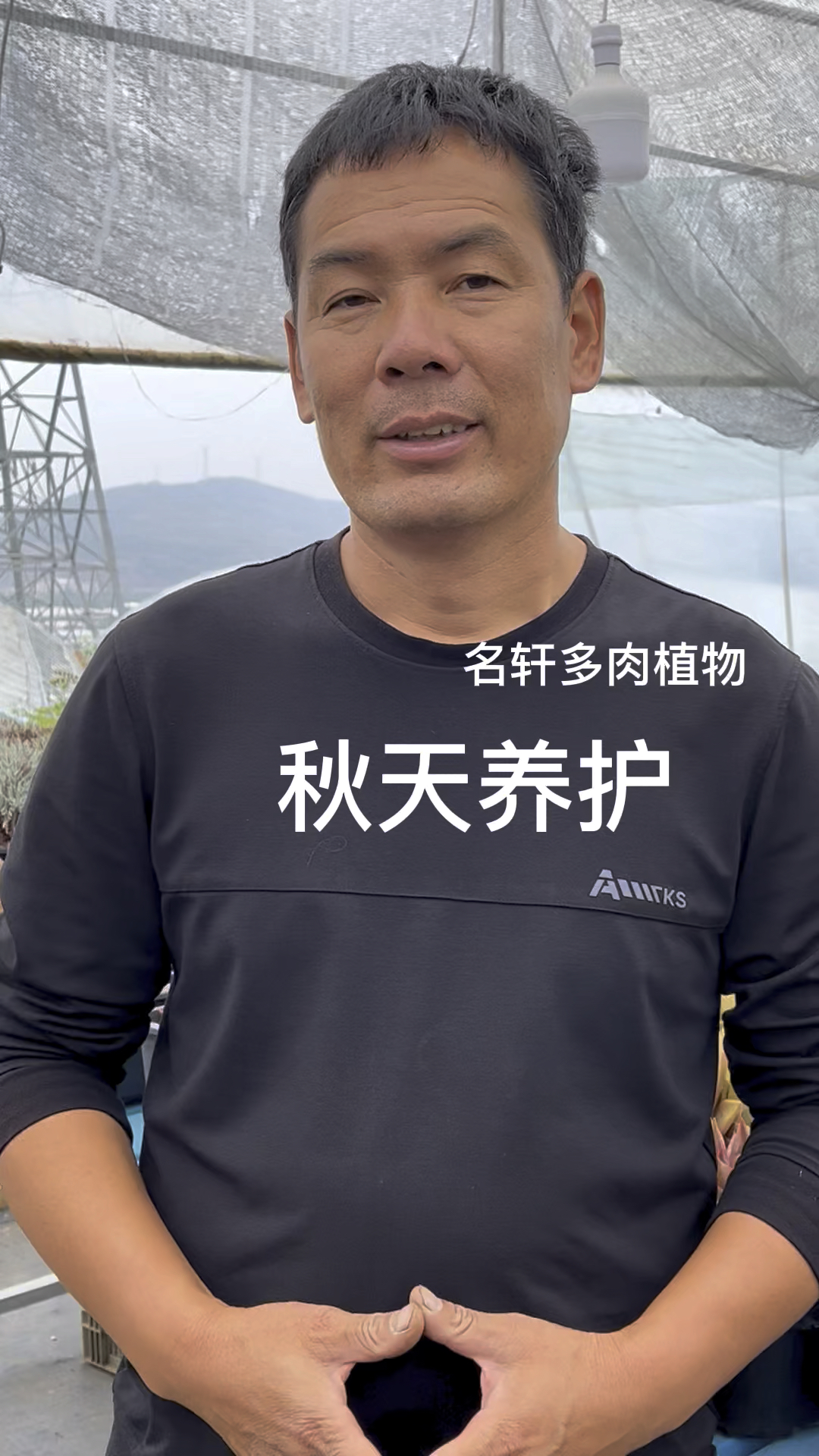 多肉植物秋天怎么养