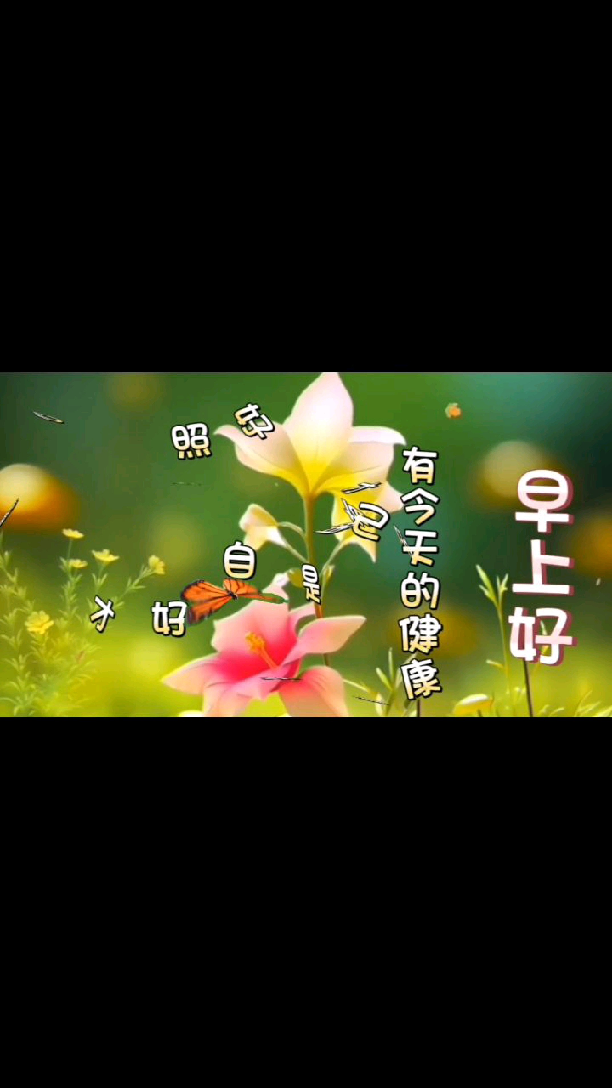 动态壁纸 文字壁纸 早安祝福书语”早上好”