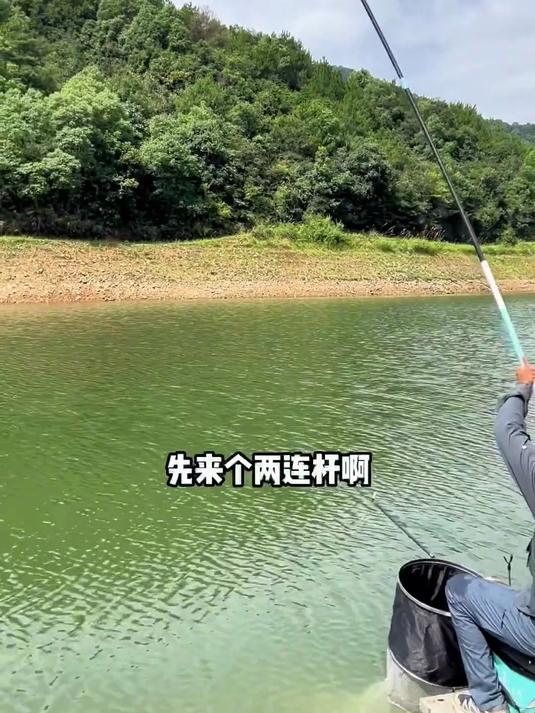 收费三百一天的水库草鱼竟然可以打连杆？(05)#优质视频激励计划#