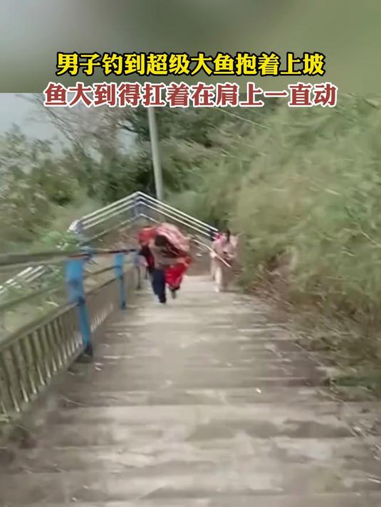 男子钓到超级大鱼抱着上坡,鱼大到得扛着在肩上一直动