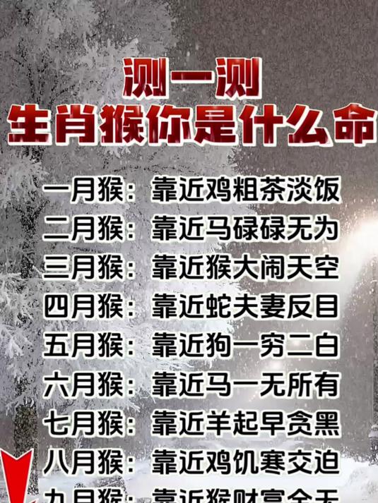 生肖猴你是什么命?