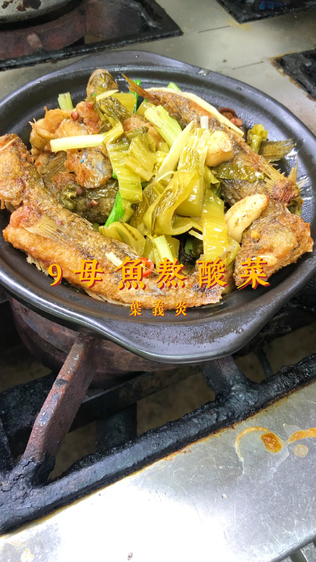 在潮汕汕头这鱼叫狗母鱼,大条用来熬肚肉酸菜不一样的家乡味道