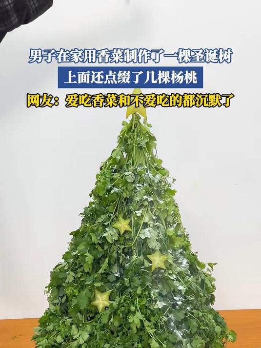 男子在家用香菜制作了一棵圣诞树,上面还点缀了几棵杨桃