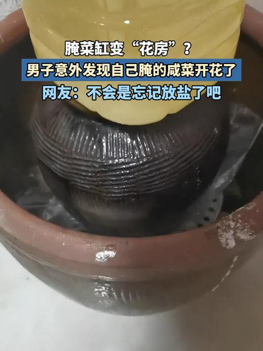 腌菜缸变“花房”?男子意外发现自己腌的咸菜开花了
