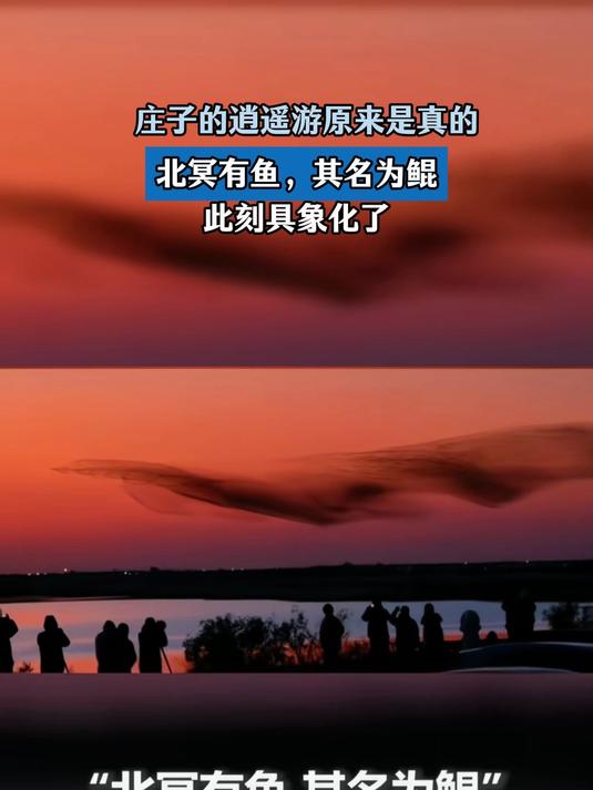 庄子的逍遥游原来是真的,北冥有鱼,其名为鲲,此刻具象化了