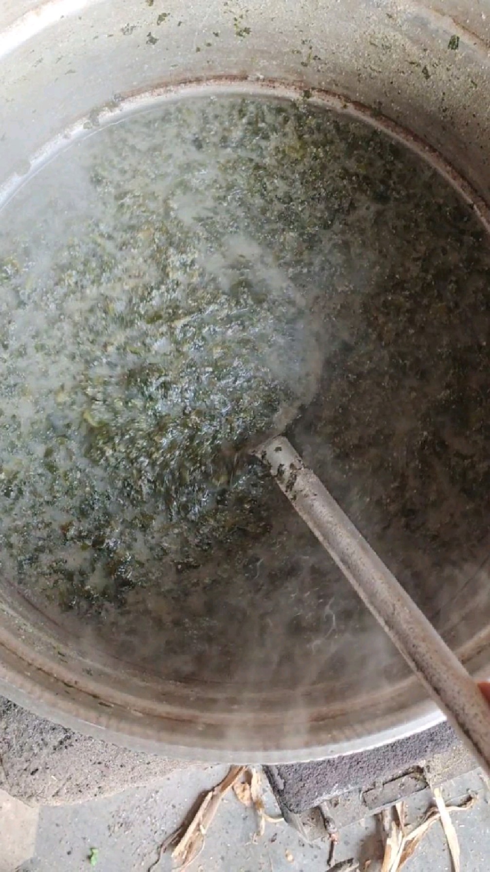 苦菜渣豆腐,舌尖上的美食