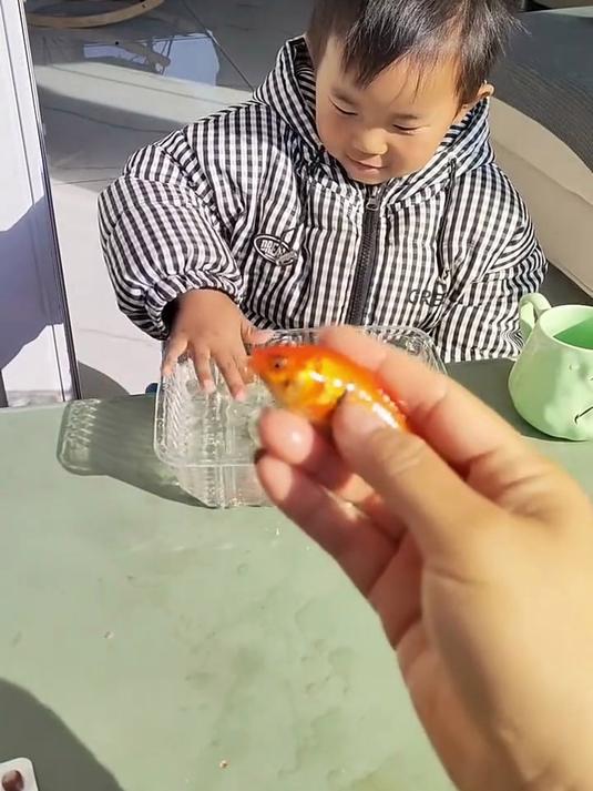 小金鱼是被冻住了啊