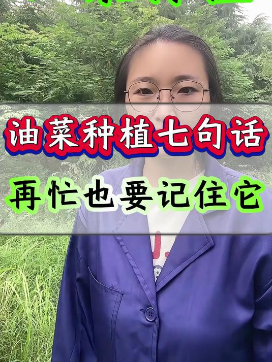 油菜种植七句话 再忙也要记住它