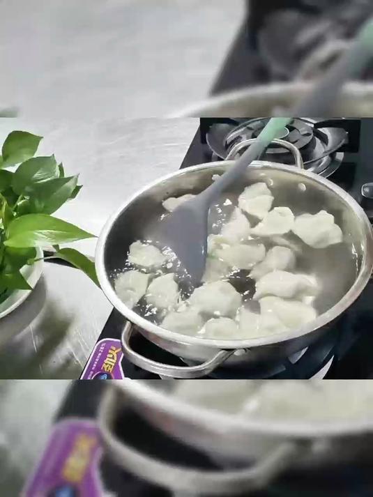 你对东北还是了解太少,这么好吃的山野菜水饺竟然不知道?