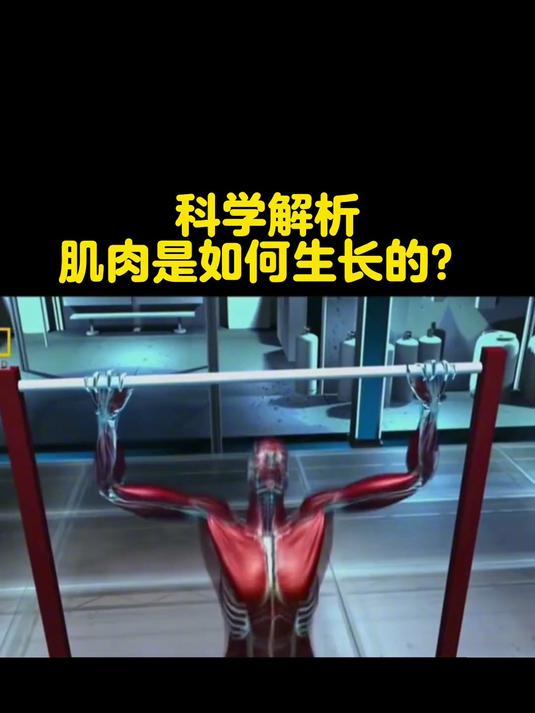肌肉生长的原理人体健身健身知识