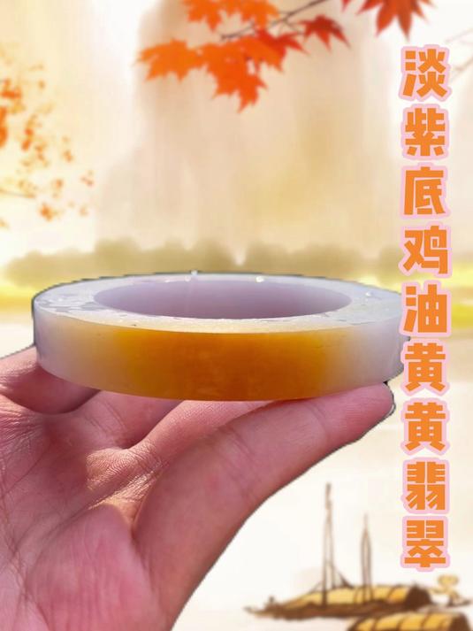淡紫底鸡油黄黄翡翠手镯
