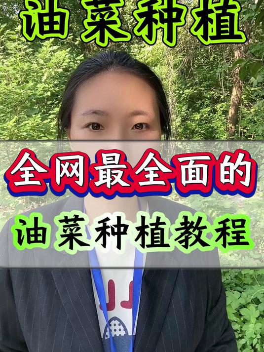 全网最全面的油菜种植教程