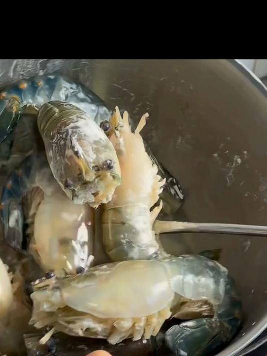 百鲜洽罗氏虾沼虾鲜活冷冻新鲜大头虾超大虾巨型淡水河虾海鲜水产虾类 8-11只/斤超大号 5