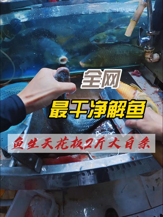 两斤小白条,广西白条鱼生#美食 #刀工 #广西鱼生