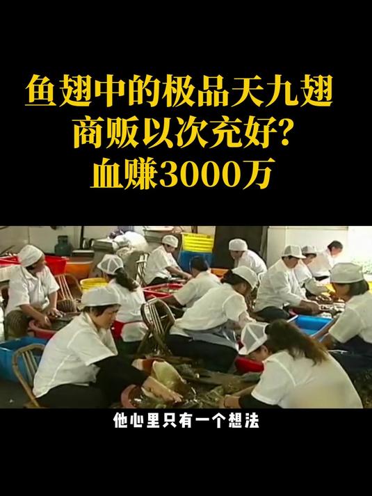 浙江闻名天九鱼翅,大鲨鱼濒临灭绝,商贩以次充好一年赚3000万?