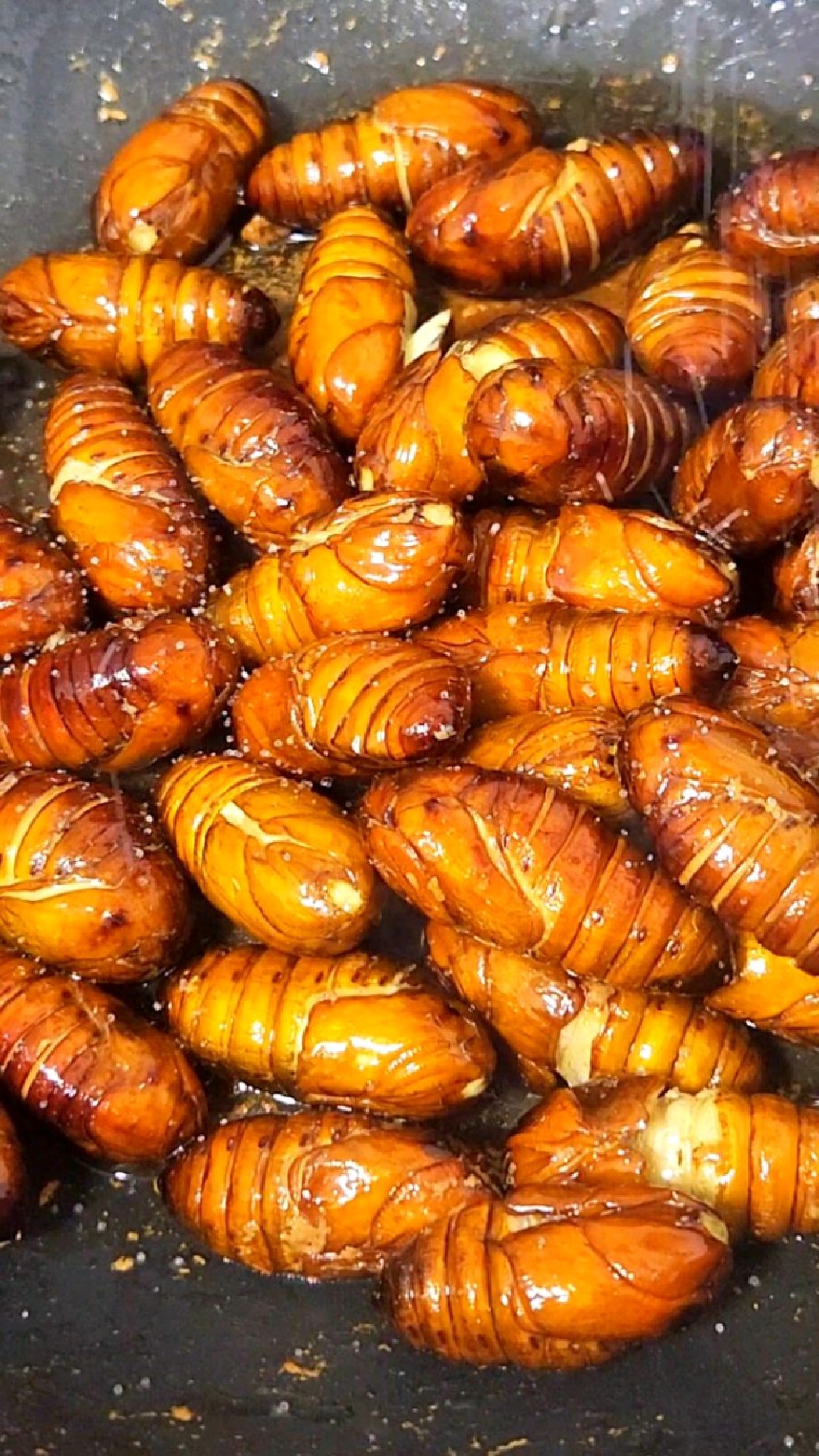 今天也有好好吃饭——干煸蚕蛹、芹菜花生米、蔬菜沙拉!