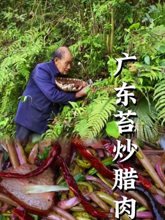 小时候认为比蕨菜更高级的野菜我们叫它广东苔不知道你们那边叫什